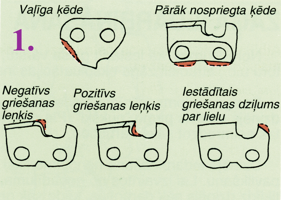 Ar zāģi mežā II