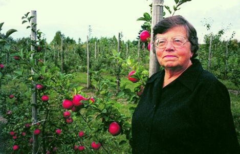 Ministru kabineta balva – Mārai Skrīvelei