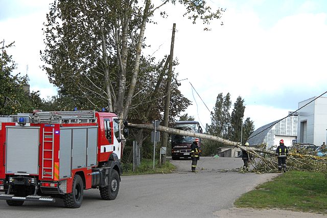 AS «Sadales tīkls» intensīvi novērš vētras postījumus