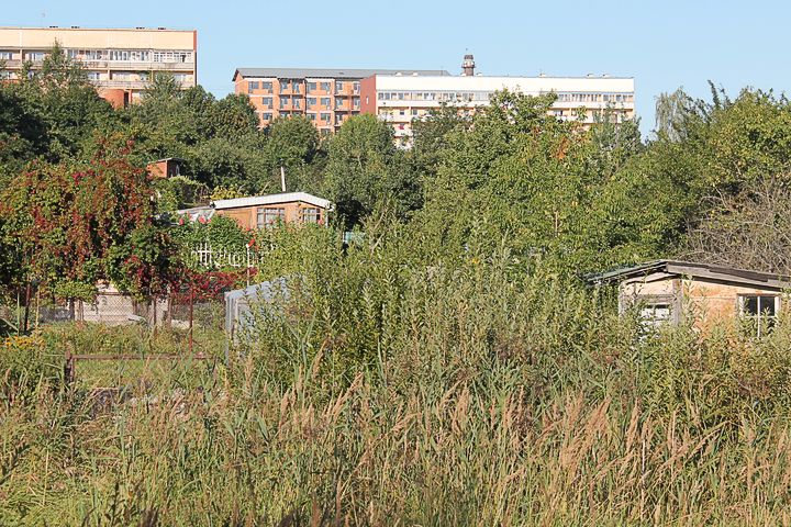 Mazdārziņnieku problēmas uzklausa, sāpīgākās sola risināt