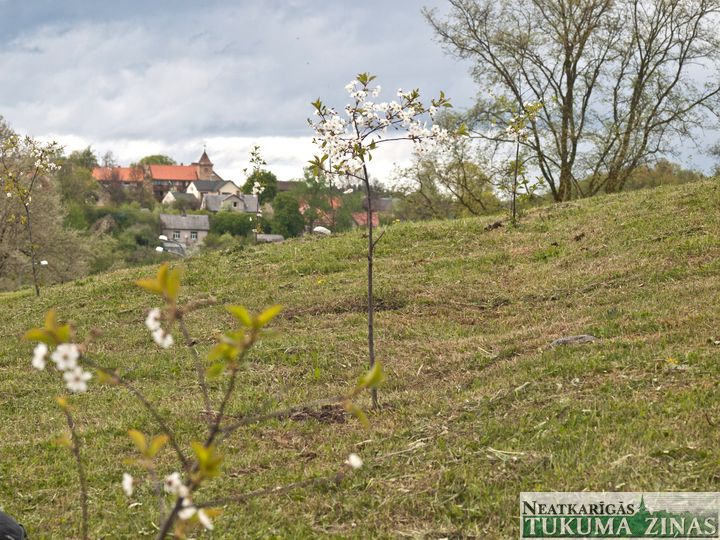 Plāno labiekārtot Mālkalnu, kas tautā jau nodēvēts par Ziedoņkalnu