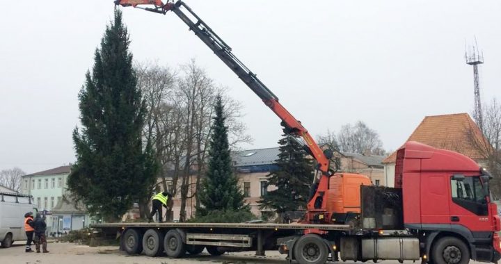 Vai Tukuma eglīti Grinčs aiznesa?!