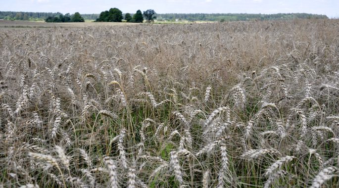 Pasaules Dabas fonds izsludina konkursu lauksaimniekiem