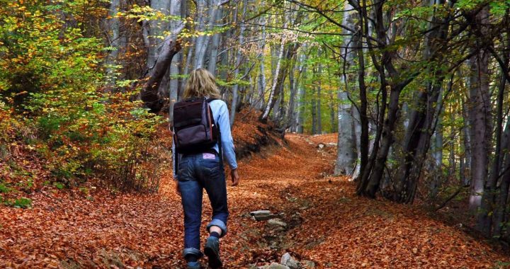 Izveidots pārgājienu maršruts «Mežtaka»