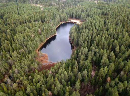 Atklāta vēstule Tukuma iedzīvotājiem, domes vadībai un deputātiem, visiem dabas draugiem