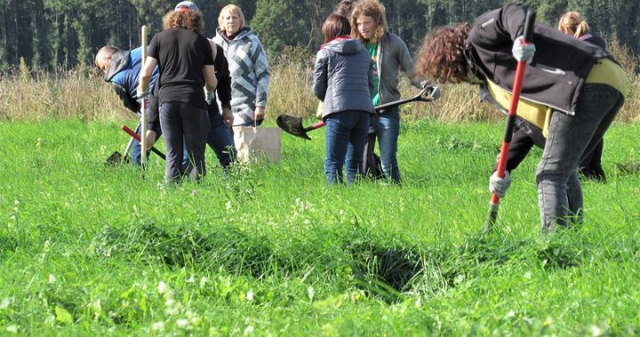 Ķemeru Nacionālajā parkā 5 hektāru platībā izmēģina bioloģiski vērtīgas pļavas atjaunošanu