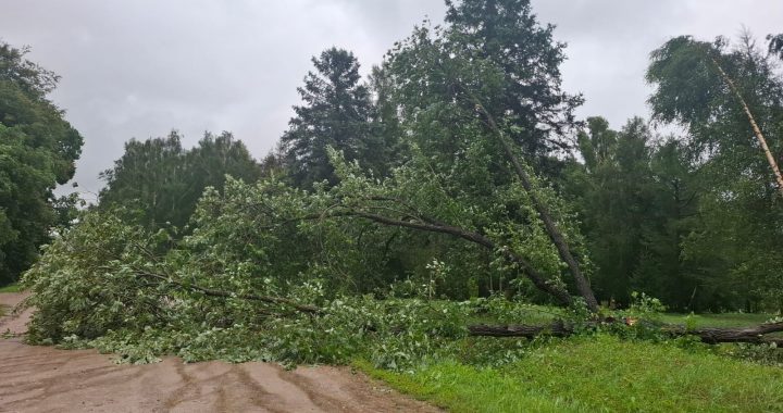 Vētras postījumi arī Tukuma novadā /VIDEO UN FOTO/