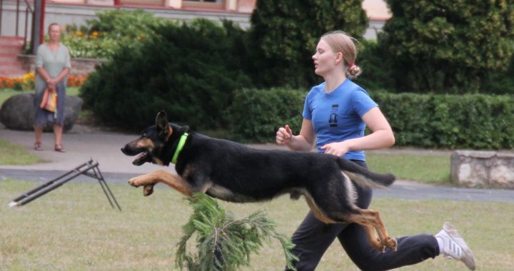 Sporta notikumu šajā nedēļā Tukuma novadā